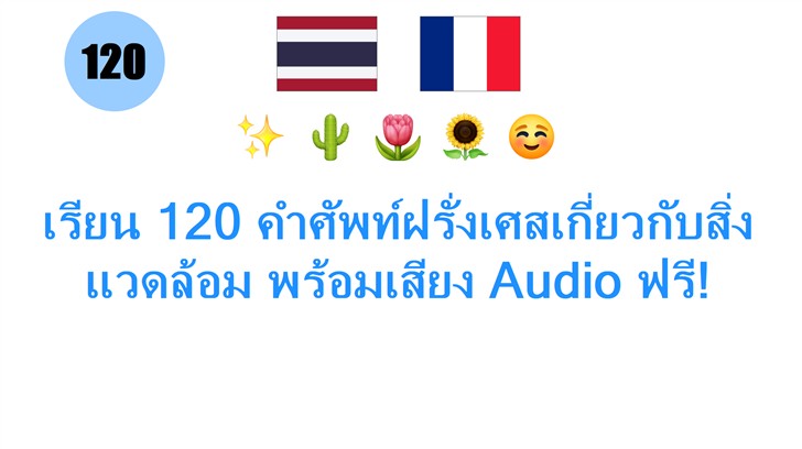 เรียน 120 คำศัพท์ฝรั่งเศสเกี่ยวกับสิ่งแวดล้อม พร้อมเสียง Audio ฟรี!